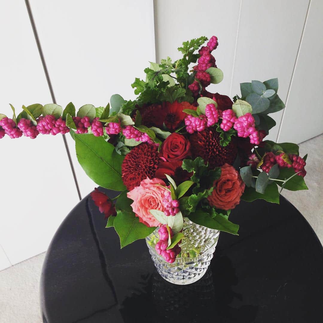 志摩有子さんのインスタグラム写真 - (志摩有子Instagram)「GM。明るい日差し、美しい花。長野で育ったオランダ生まれ。冬にぴったり。 #flower #thx」12月4日 9時27分 - ariko418