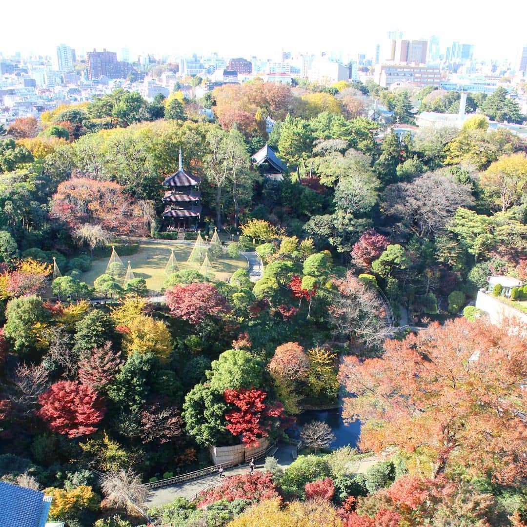 ホテル椿山荘東京のインスタグラム