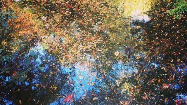 生野優子のインスタグラム：「👶🏻💭❓🐧🍂🍁🍃」