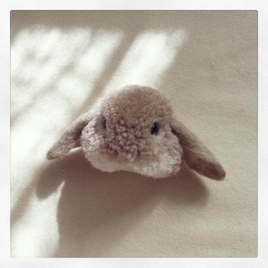 黒田翼 動物ぽんぽん さんのインスタグラム写真 黒田翼 動物ぽんぽん Instagram 耳ぺたーん ロップイヤー うさぎ Hollandlop Rabbit Trikotri Pompon Trikotripompon ぽんぽんブローチ ホームクチュリエ ホームクチュリエvol13 11