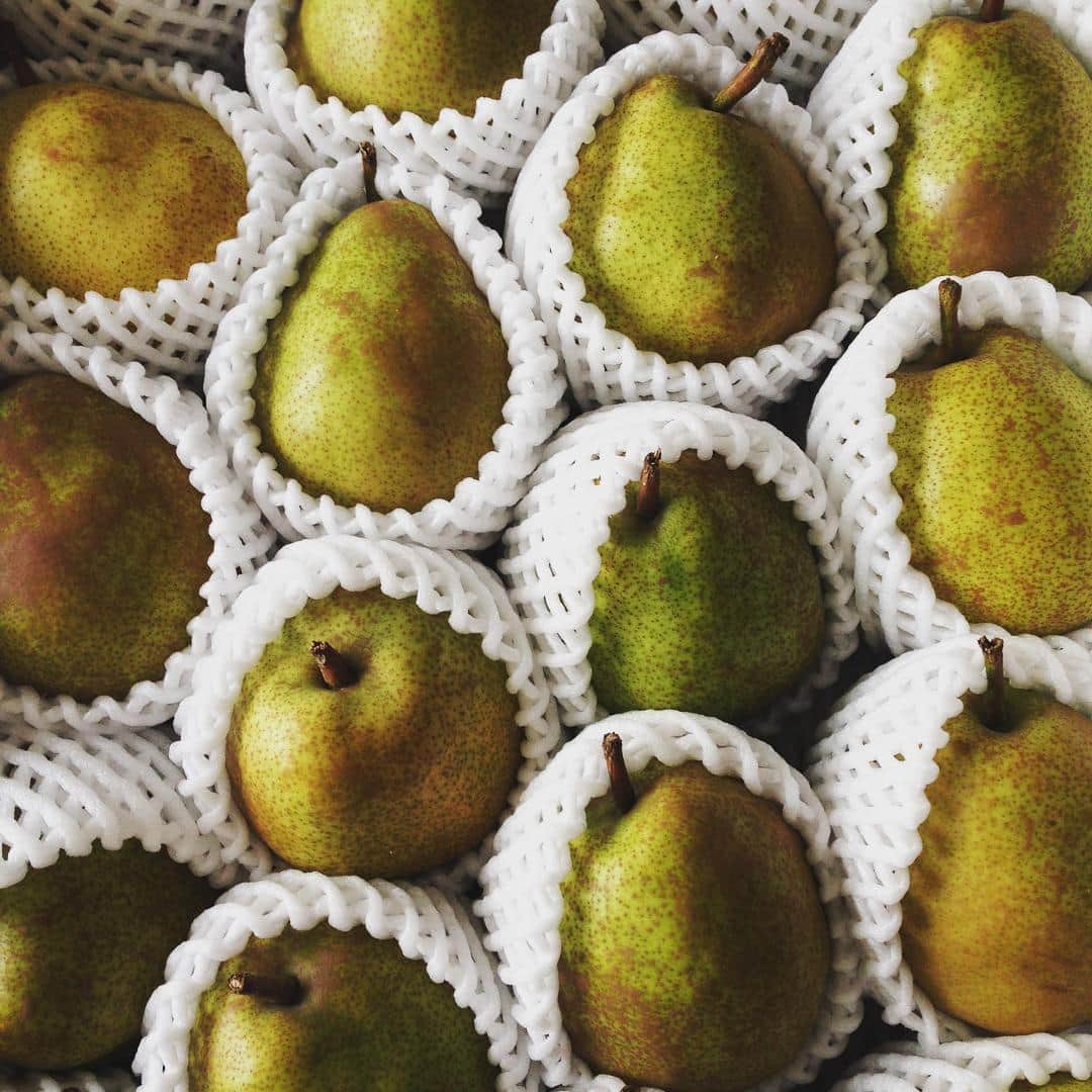 のインスタグラム：「山形県産の素晴らしいラ•フランスがたくさん届きました！Tちゃんありがとう♥️♥️ #贈り物 #洋梨 #ラフランス #旬 #大好物 #感謝 #洋梨充 #実りの秋 #洋梨って見れば見るほどオブジェみたい」
