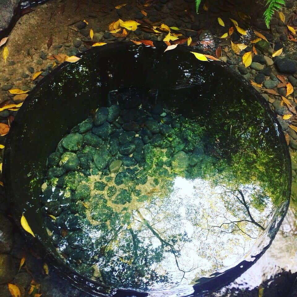 のインスタグラム：「パワースポット。 #いい気が流れてる  #パワースポット #ご利益ありますように」