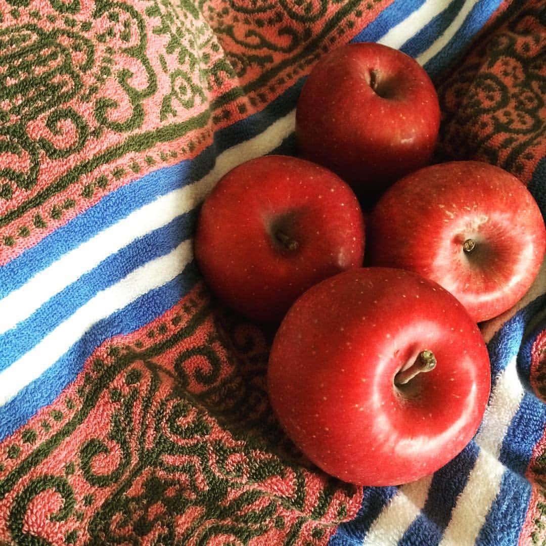 田中律子さんのインスタグラム写真 - (田中律子Instagram)「monroから、バスタオルとリンゴが届いた💕 長野monro農園のリンゴ。バスタオルの柄がめっちゃタイプすぎてお風呂上りが楽しみ。  #monromian  #monro農園 #リンゴ」11月20日 15時19分 - ri2kotanaka