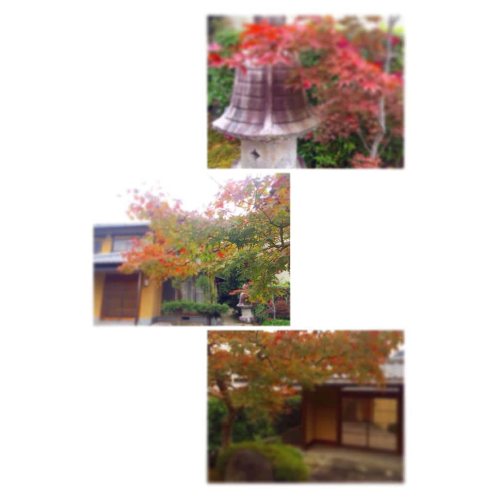 平沼ファナさんのインスタグラム写真 - (平沼ファナInstagram)「秋の色曇り空  #🍁#こんな日も良い#大人の気分 #嵯峨嵐山」11月20日 16時08分 - yoon_phana