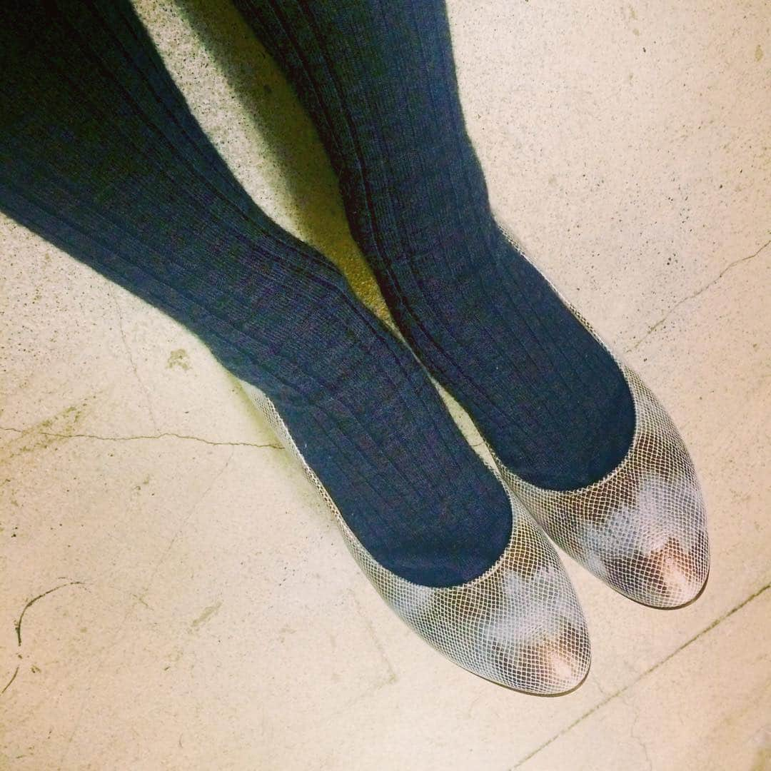 サロンさんのインスタグラム写真 - (サロンInstagram)「タイツにパンプス👠 ¥11,664  #salonbtq#salonboutique#サロン#apair#everspring#15AW#パンプス#pumps#オーロラ#aurora」11月20日 18時10分 - salon.boutique