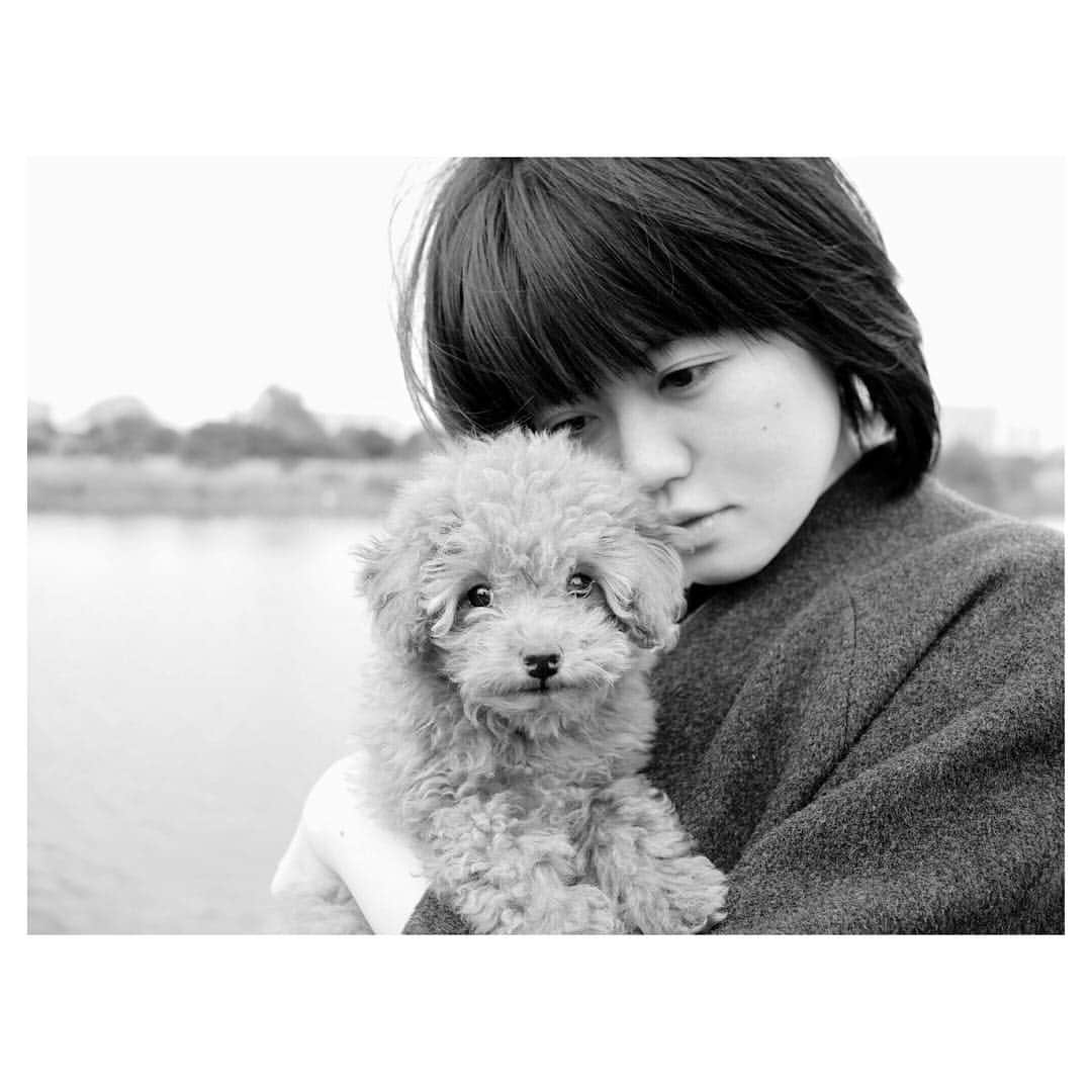 石丸奈菜美さんのインスタグラム写真 - (石丸奈菜美Instagram)「食べちゃいたい フォトバイ@necoco0926 #puppy #teacuppoodle #monochrome」11月22日 16時36分 - usurabaka