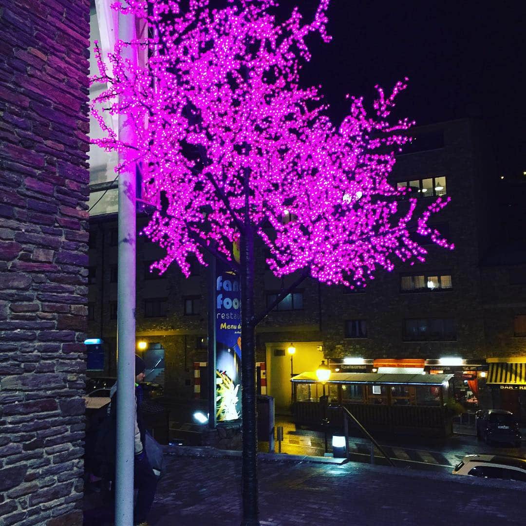 マックス・リンドホルムのインスタグラム：「Andorra has more or less evergreen..? or everwhatever trees 🙈#awesome #trees #AndorraOpen2015 #icedance #ikebabteam #kanervorukkiin」