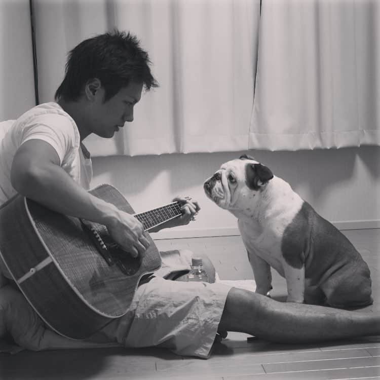 押尾学さんのインスタグラム写真 - (押尾学Instagram)「いつも側にいていつも見つめてくれてたo(^▽^)o i miss u and love u always #bulldog」11月26日 19時01分 - manabuoshio_official