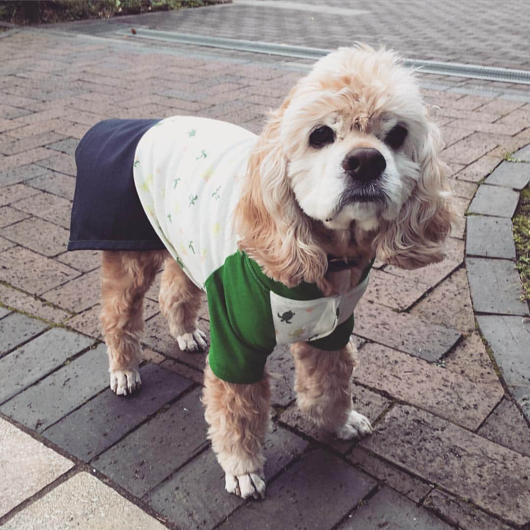 笛木優子のインスタグラム：「急に寒くなりましたね😂😂 今日深夜 フジテレビ リーダーズサロン  26:25から またナレーションしました。 良かったら私の美声聞いて下さい（笑）😙✌🏻️#リーダーズサロン」