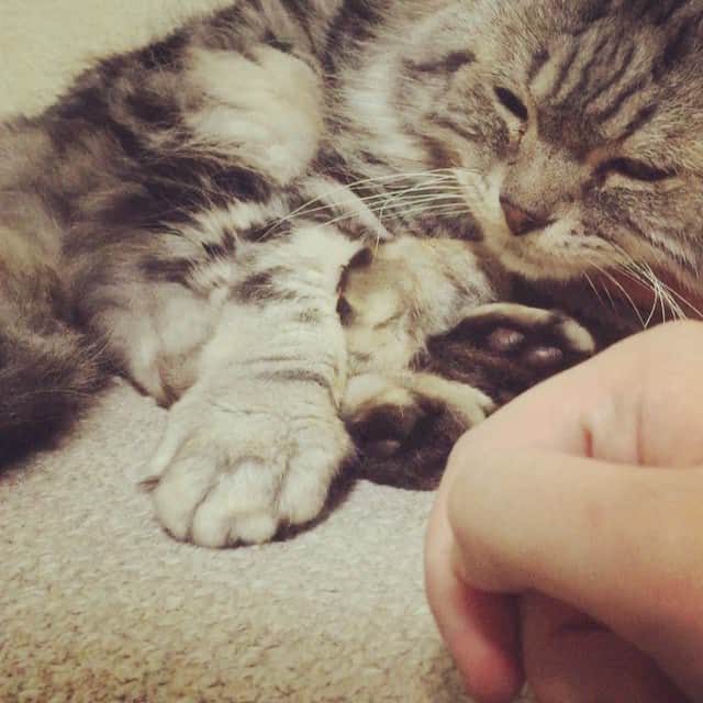 奥山レイカのインスタグラム：「あそんでたら怒られた」