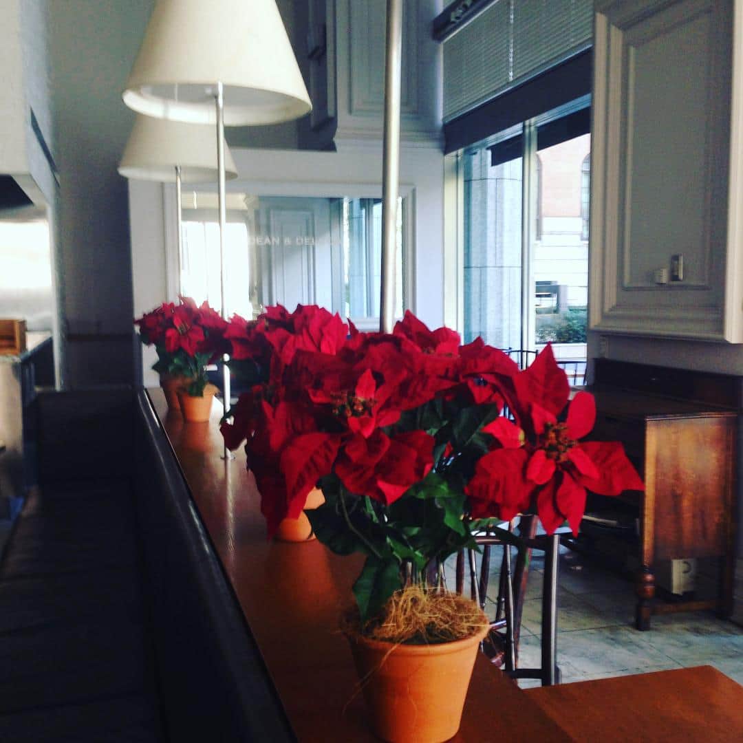 志摩有子のグルメインスタ