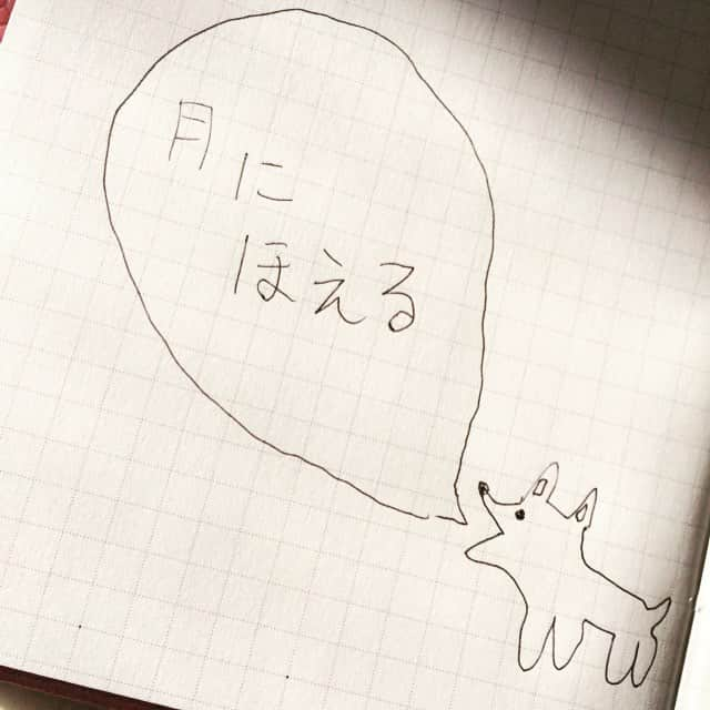 真木よう子さんのインスタグラム写真 - (真木よう子Instagram)12月1日 14時09分 - yokomaki_official