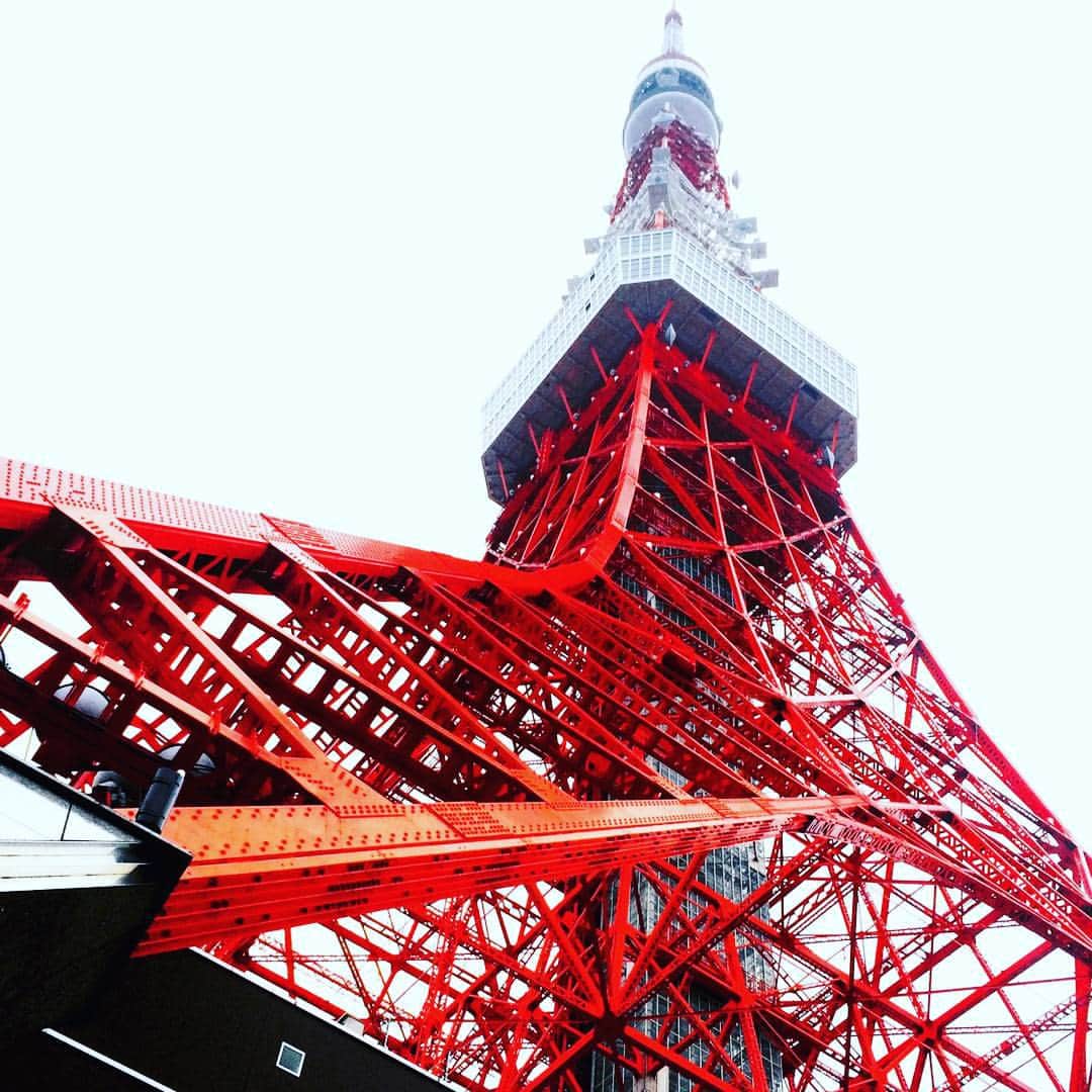 Tokyo_Osaka_Japan TouristGuideさんのインスタグラム写真 - (Tokyo_Osaka_Japan TouristGuideInstagram)「Landmark tower in japan #toyko #tokyotower #red #white #japan #tower」12月1日 22時43分 - tokyo_osaka_japan