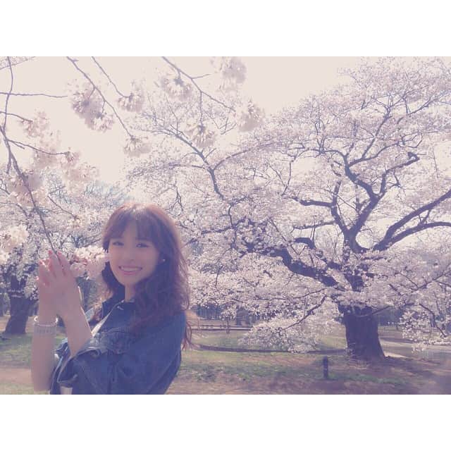泉里香さんのインスタグラム写真 - (泉里香Instagram)「🌸🌸さくら〜っ🌸🌸 #やばいっ😍 #めっちゃキレイ😍 #cherryblossoms#spring#桜#幸せ#泉里香」3月30日 12時26分 - rika_izumi_