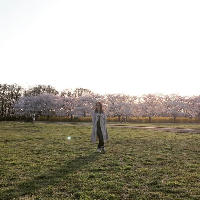 笛木優子のインスタグラム：「しばらく🌸ショットが続きます。。。（笑）」