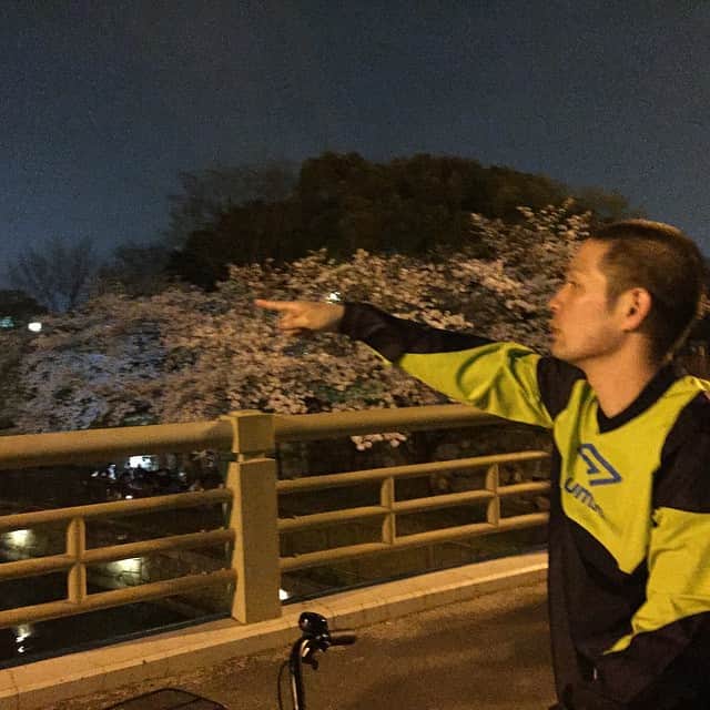 爆ノ介さんのインスタグラム写真 - (爆ノ介Instagram)「「彼女が出来たら絶対ここで桜見るねん」ってさ。 知らん、でも頑張れ。」4月1日 2時38分 - bakunosuke