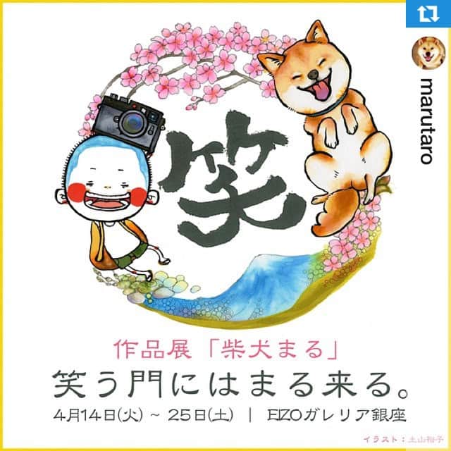 まりも絵日記のインスタグラム：「#Repost @marutaro with @repostapp. ・・・ Hi, everyone. This is Maru, your doggie friend. I will hold my solo exhibition in Ginza, Tokyo, from April 14 to April 25 (See details below). The exhibition shows a selection made by Papa. You should surely impress your date by taking her to the exhibition after shopping in a Ginza department store! This show will include the works of Yuko Tsuchiyama, who gave us this poster as well as those of fusafusa club #ふさふさ部 , so you should check them out! Unfortunately, I'm not allowed to go inside as I'm a dog, but I'll work hard to get ready for the exhibition to make visitors smile.  By the way, don't you think Yuko Tsuchiyama @yuko_tsuchiyama , who gave us this poster, creates wonderful illustrations? All her works are full of originality. Why don't you commission her work for your anniversary etc.? Surely she will give you an awesome illustration! @marimoenikki  place　：EIZO GALLERIA GINZA （3F 7-3-7 Ginza Chuo-ku Tokyo Japan 104-0061) TEL：03-5537-6675  period : From Apr.14 to Apr.25 2015（Closed Sundays Mondays and public holidays) The hours for that event is from 10:00AM to 6:30PM.  4月14日〜25日まで東京の銀座で作品展を開催します。（詳細は下記） 作品展では、パパが選び抜いた作品を展示予定。 銀座のデパートでお買い物した後に作品展を見るのもオシャレなデートコースだと思うよ！ 展示の中には、このポスターを書いてくれた土山裕子さんの作品や　#ふさふさ部　の作品も並ぶ予定だから楽しみにしててね。 残念ながら、会場にまるは入っちゃだめだから行くことは出来ないけど、写真展をみてくれた人達が笑顔になってもらえるように準備頑張るからね。  ところでこのポスターを描いてくれた、土山裕子 さん@yuko_tsuchiyama の絵も素敵だと思わない？まると一緒に描かれてるのは、まりもくん。@marimoenikki ( Lineスタンプもチェックしてみてね) 彼女の才能が描く作品はどれを見てもオリジナリティ溢れる素敵な作品ばかり。特別な記念日とか、彼女に仕事を依頼してみてはいかが？最高の一枚を描いてくれると思うよ〜  作品展「柴犬まる」笑う門にはまる来る。(入場料無料/販売は無し)  開催場所　 EIZOガレリア銀座  開催期間　 2015年4月14日(火)〜4月25日(土)（定休日あり） EIZOガレリア銀座は、 銀座7丁目 外堀通り沿いに面した所にあります。 〒104-0061 東京都中央区銀座7丁目3番7号 ブランエスパ銀座ビル3階 TEL：03-5537-6675  開催時間　10：00～18：30 定休日：日曜日、月曜日および祝日（例外もあります）」