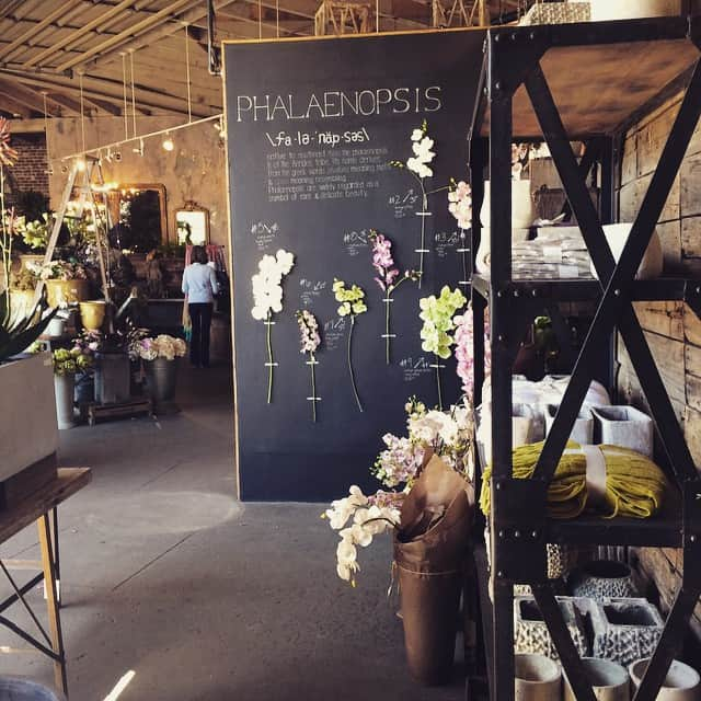 マフィアさんのインスタグラム写真 - (マフィアInstagram)「#rollinggreens #nursery #melrose #idea #inspired #display」3月18日 11時01分 - dumilojapan