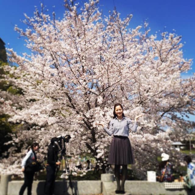 武田訓佳さんのインスタグラム写真 - (武田訓佳Instagram)「こっちも素敵♡」4月3日 11時54分 - kunika0117
