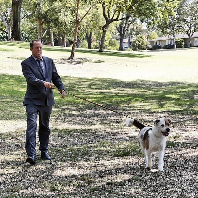 バトル・クリークのインスタグラム：「Mans best friend! #BattleCreek #InternationalDayofHappiness!」