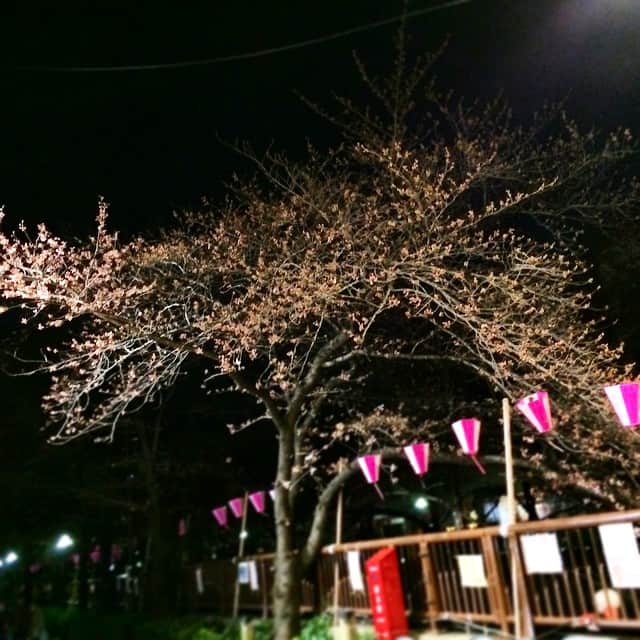泉里香さんのインスタグラム写真 - (泉里香Instagram)「もうちょっとっ🌸🌸🌸 #桜#目黒川 #楽しみ#お花見🍡#cherryblossoms#japan」3月24日 21時37分 - rika_izumi_