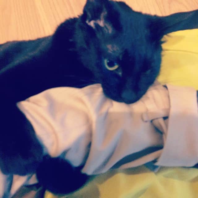 MEGのインスタグラム