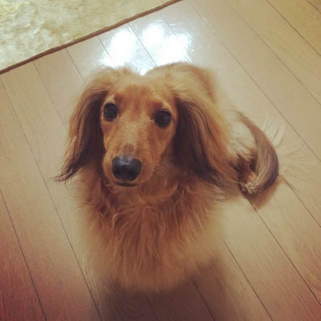 濱田めぐみのインスタグラム：「まるもこ」