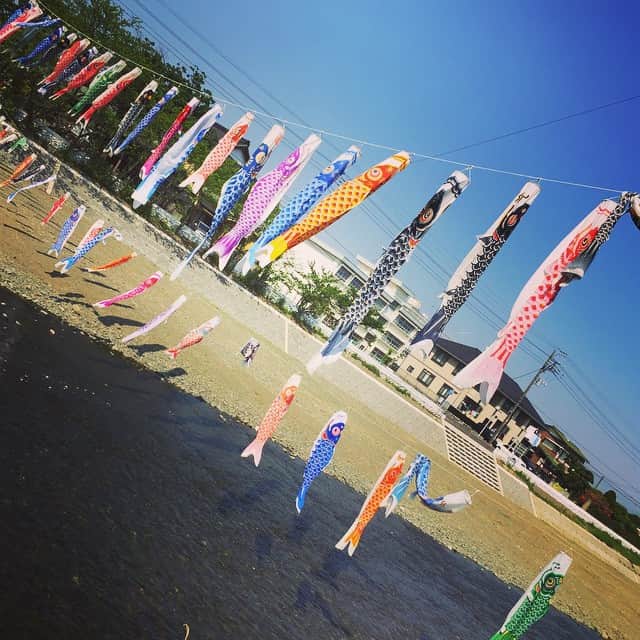 幸太さんのインスタグラム写真 - (幸太Instagram)「もうこんな季節なんだねー  良い感じに泳いでましたぁー🎏 Children day !! @ neighborhood river  #child #Japanese #japanstyle #culture #goodday #kota #nature #river #neighborfood #鯉のぼり #日本の文化 #川に映る影も素敵」4月27日 15時47分 - kotawave