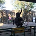 コンサドーレ札幌のインスタグラム