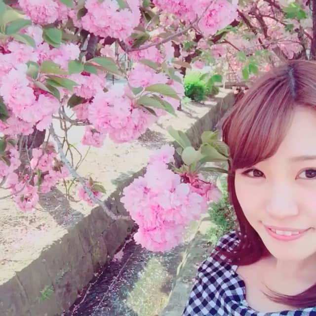 夏希リラのインスタグラム