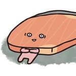 そわんわん Instagram