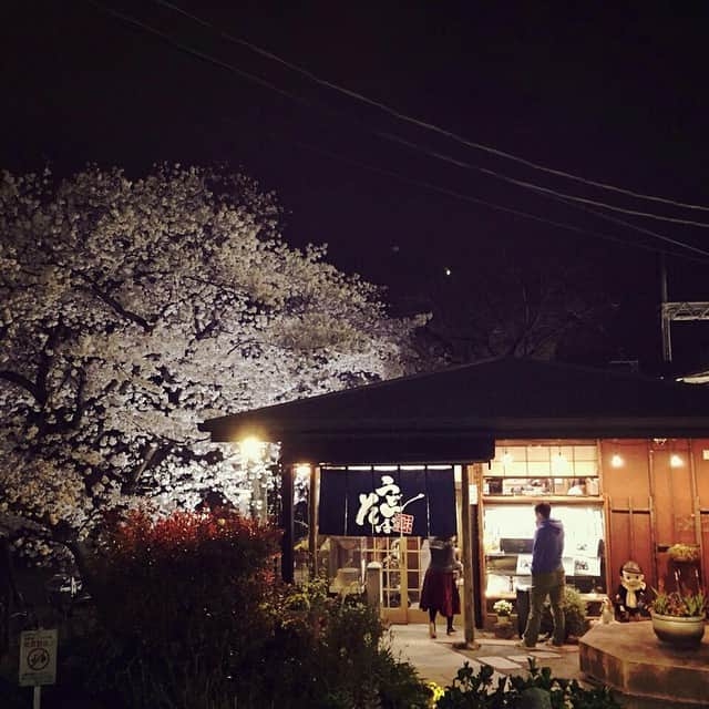 山中絢子のインスタグラム：「みなさんお花見いったー？✨私は行けてないので、地元の友達が送ってくれたお花見画像を代わりに乗せます❤️お花見いきたい🌸🌸🌸 #Cherry blossoms #西宮市」