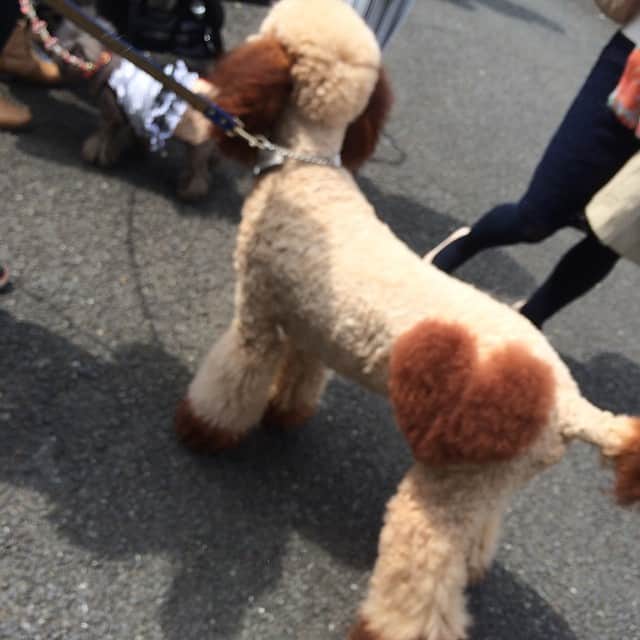 笛木優子のインスタグラム：「So cute💛💙💜💚❤️」