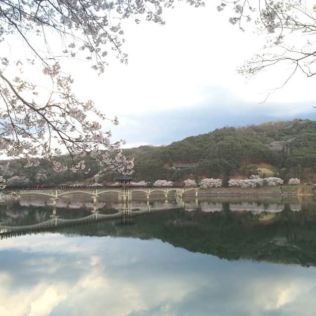 笛木優子のインスタグラム：「벌써 일년.... 미안합니다  잊지않겠습니다#20140416#세월호」