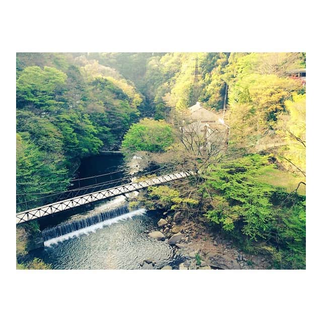 二宮愛さんのインスタグラム写真 - (二宮愛Instagram)「Let the nature clean my mind🌳🍃🌸🌲✨」4月18日 16時28分 - aininomiya