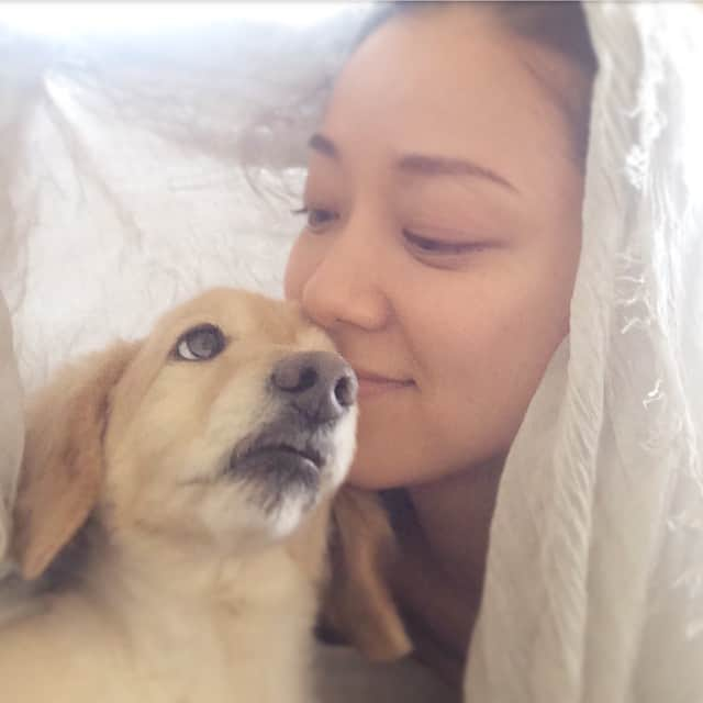 中越典子さんのインスタグラム写真 - (中越典子Instagram)「ふーむ♥️ いつもありがと  #犬 #大切 #かわいい #愛しい #中越典子」4月18日 11時35分 - nakagoshi_noriko.official