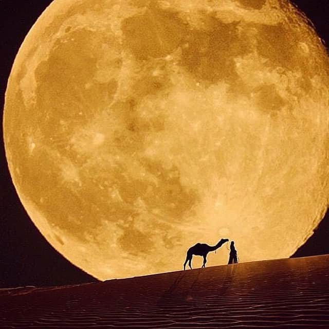✈MyTravelGram™のインスタグラム：「Full moon in Dubai✨」