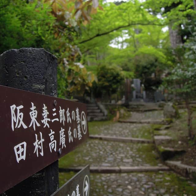 田村幸士さんのインスタグラム写真 - (田村幸士Instagram)「今日も花が置かれていました。 ファンのみなさまいつもありがとうございます。 #二尊院 #嵯峨 #嵐山 #嵯峨嵐山 #阪東妻三郎 #田村高廣 #kyoto #arashiyama #saga #nisonin」4月21日 13時03分 - kojimg