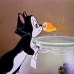 ミスキャンパス関西学院2016(関西学院大学)のインスタグラム