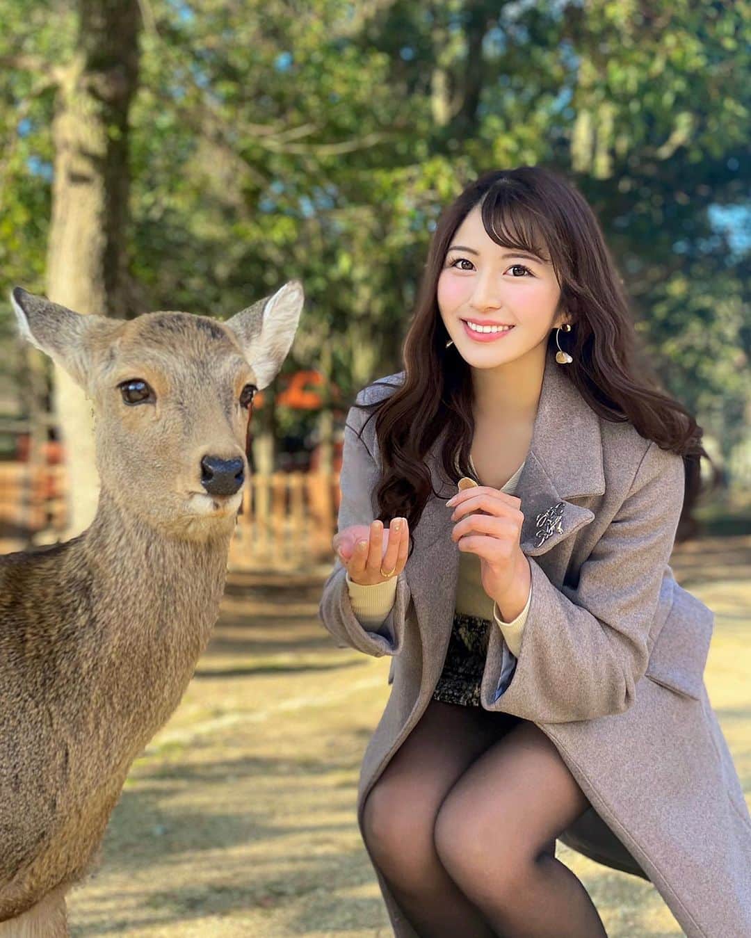 Manaさんのインスタグラム写真 - (ManaInstagram)「🌸🦌💕 鹿さんと私と鹿せんべい🍘 ....🐾可愛すぎむり🥺 . Cute deer in Nara park! They are famous for being friendly and very polite♡ . 小学校の修学旅行で白スカートに思いっきり 蹴りを入れられたという苦い思い出しかなかった 奈良公園の鹿さん( ˶˙ᴗ˙˶ )笑 . ようやくリベンジして仲良くなれました☺️💓 . ツーショットも、いい感じ♪ . . Coat：#mesty Brooch：#loewe . #奈良 #奈良観光 #奈良旅行 #奈良公園 #narapark #奈良の鹿 #naradeer #鹿せんべい #鹿さん #奈良好き #修学旅行 #思い出 #幸せな時間 #動物好き #アニマル写真部 #奈良公園の鹿 #ツーショット #ミニスカート #ミニスカ #ロングコート #ロエベ #ブラウンコーデ #ホワイトコーデ #公園 #お散歩 #のんびり #可愛すぎる #癒された」2月4日 22時12分 - mana.tcy