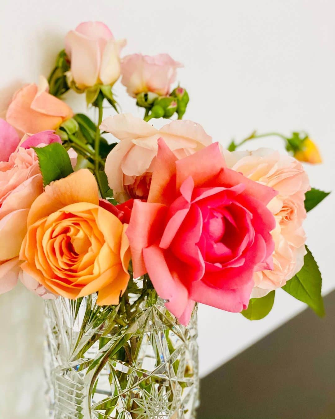 江川清音さんのインスタグラム写真 - (江川清音Instagram)「﻿ 今年の5月、実家で初めて咲いた薔薇たち🌹✨﻿ 父が育てています💐 ﻿ 長年薔薇の咲いている時期に帰省することがなくて、こんなも綺麗に咲いているなんて知らなかった😕💦﻿ 薔薇が咲いている時に、庭のアーケードをくぐったのも初めて✨﻿ ﻿ 自由気ままに咲く花たちなので、花瓶に挿すのはもちろんアレンジはとても難しいと実感😅﻿ ﻿ やっぱりお花が好きだなぁ💐❤ ️﻿日々の生活の中で、植物に触れるととても癒されますよ〜🌱 ﻿ #季節のお花 #薔薇の花 #花束 #花束アレンジ #綺麗なもので #癒される #今日は #花束を買って #帰りませんか #花推し」7月13日 10時52分 - egawasayane