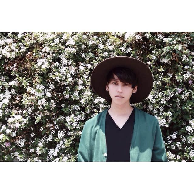 藤沢直希のインスタグラム：「flowers  #tokyo #flower」