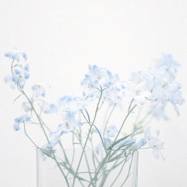 masa_sunのインスタグラム：「gn*」