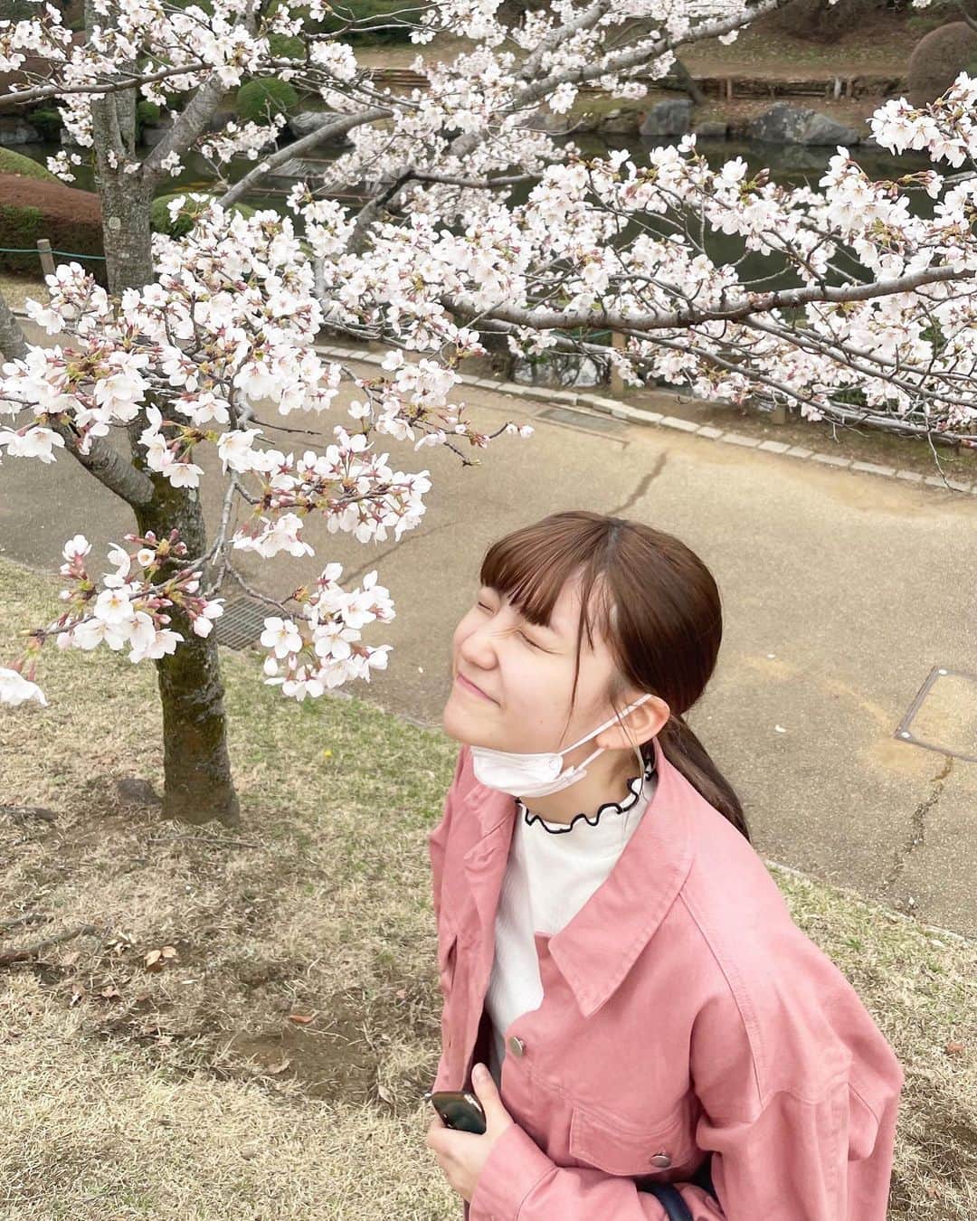 北川玲さんのインスタグラム写真 - (北川玲Instagram)「🌸🌸🌸」3月28日 18時52分 - reistagram.co.jp