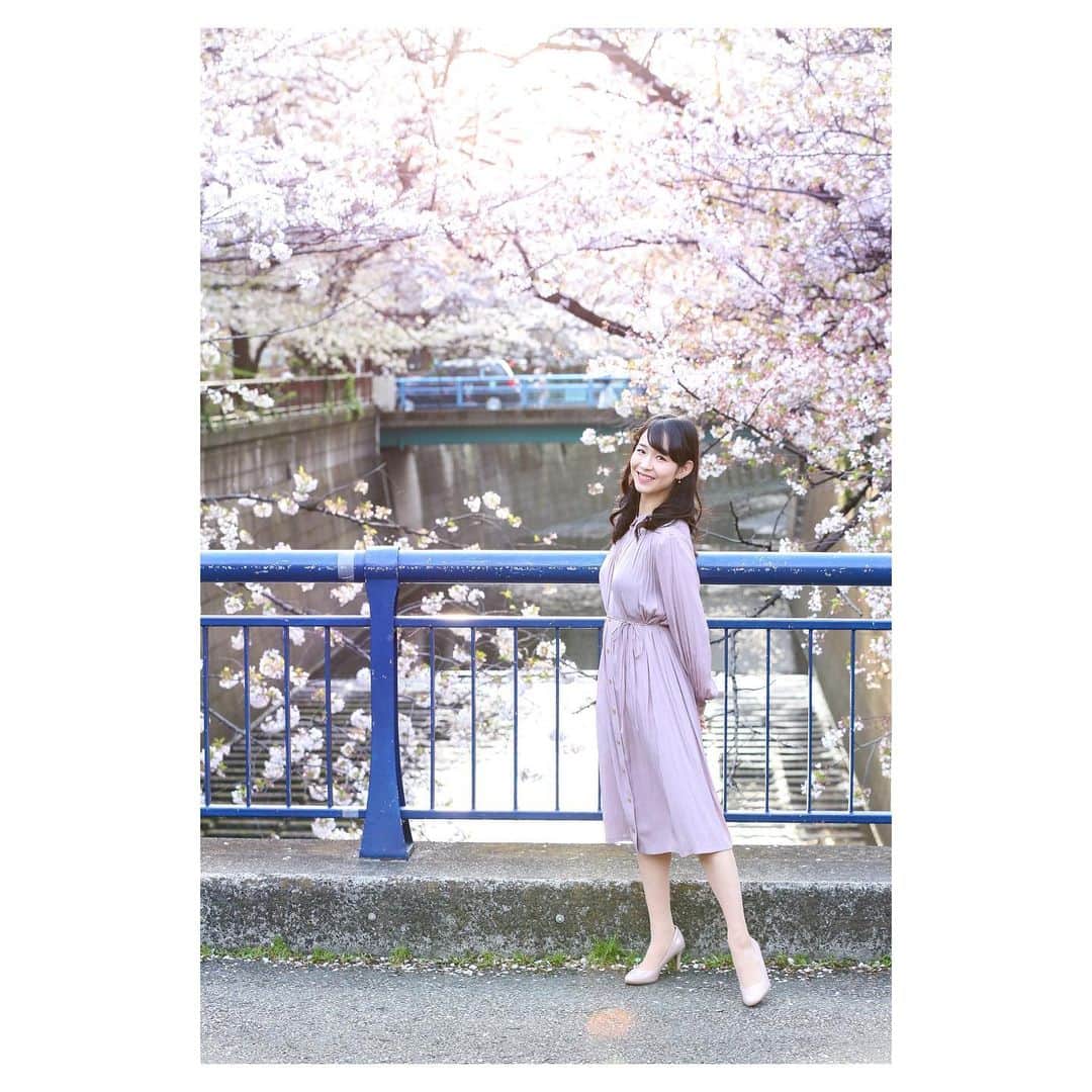 今井遥さんのインスタグラム写真 - (今井遥Instagram)「撮影で目黒川の側に来ています。 桜がとても綺麗でした🌸  #桜  #sakura #目黒川 #サンクスツアーマスクが桜とマッチしてました😊」3月31日 15時17分 - haruka_imai_831