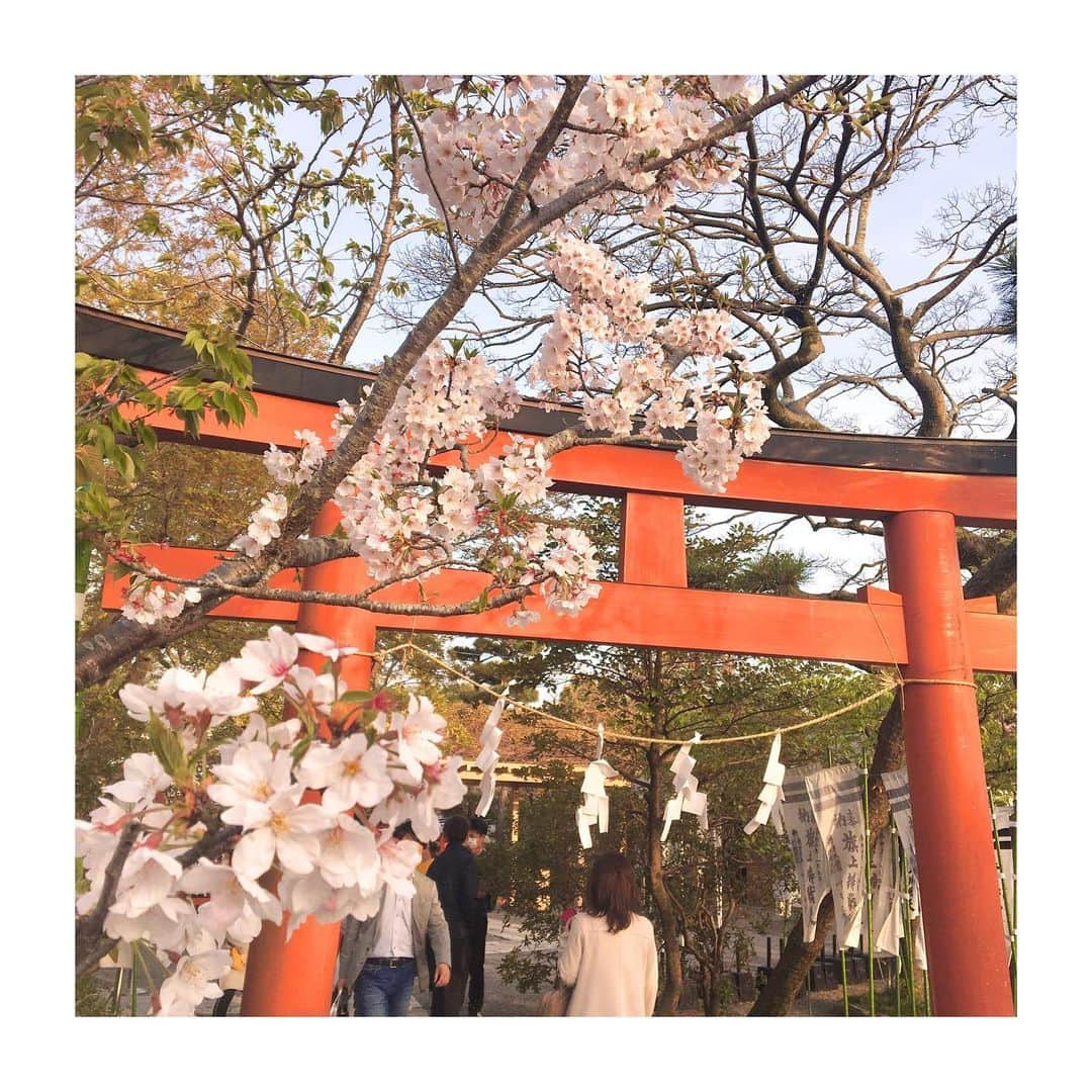 千眼美子さんのインスタグラム写真 - (千眼美子Instagram)「・ 🇯🇵八 #japan  #now #cherryblossom  #sakura #blooming #桜 #さくら #花見 #お花見 #日本 #神社 #櫻花 #🇯🇵 #⛩ #🌸」4月1日 7時03分 - yoshiko_sengen