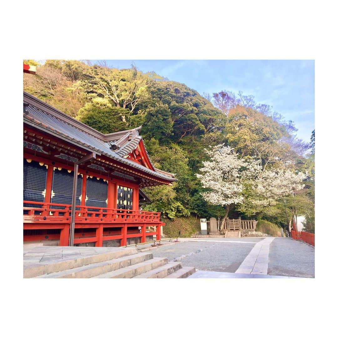 千眼美子さんのインスタグラム写真 - (千眼美子Instagram)「・ 🇯🇵八 #japan  #now #cherryblossom  #sakura #blooming #桜 #さくら #花見 #お花見 #日本 #神社 #櫻花 #🇯🇵 #⛩ #🌸」4月1日 7時03分 - yoshiko_sengen