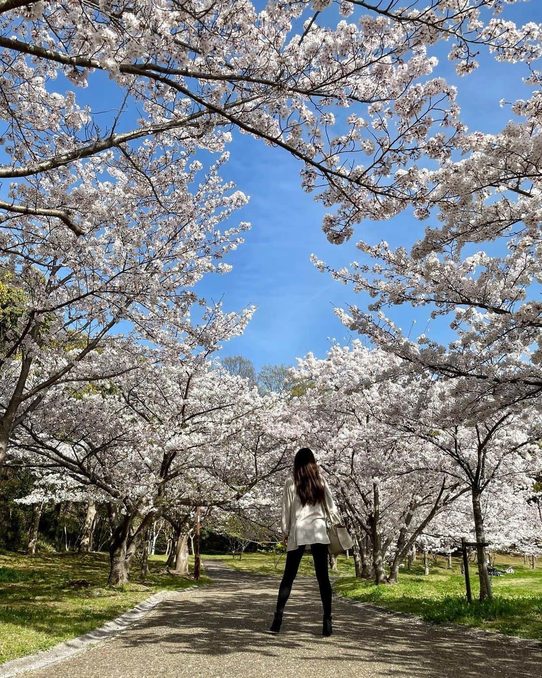 工藤めぐみさんのインスタグラム写真 - (工藤めぐみInstagram)「🌸  primavera no Japão 🌸 Até o ano que vem☺️✨  風に吹かれて落ちてた桜を拾ったら 可愛かった♡  ありがとう。 また来年🌸  ． ． ． ． ． #桜　#sakura #cherryblossom  #megumikudo #工藤めぐみ」4月2日 19時59分 - megumikudo.samba