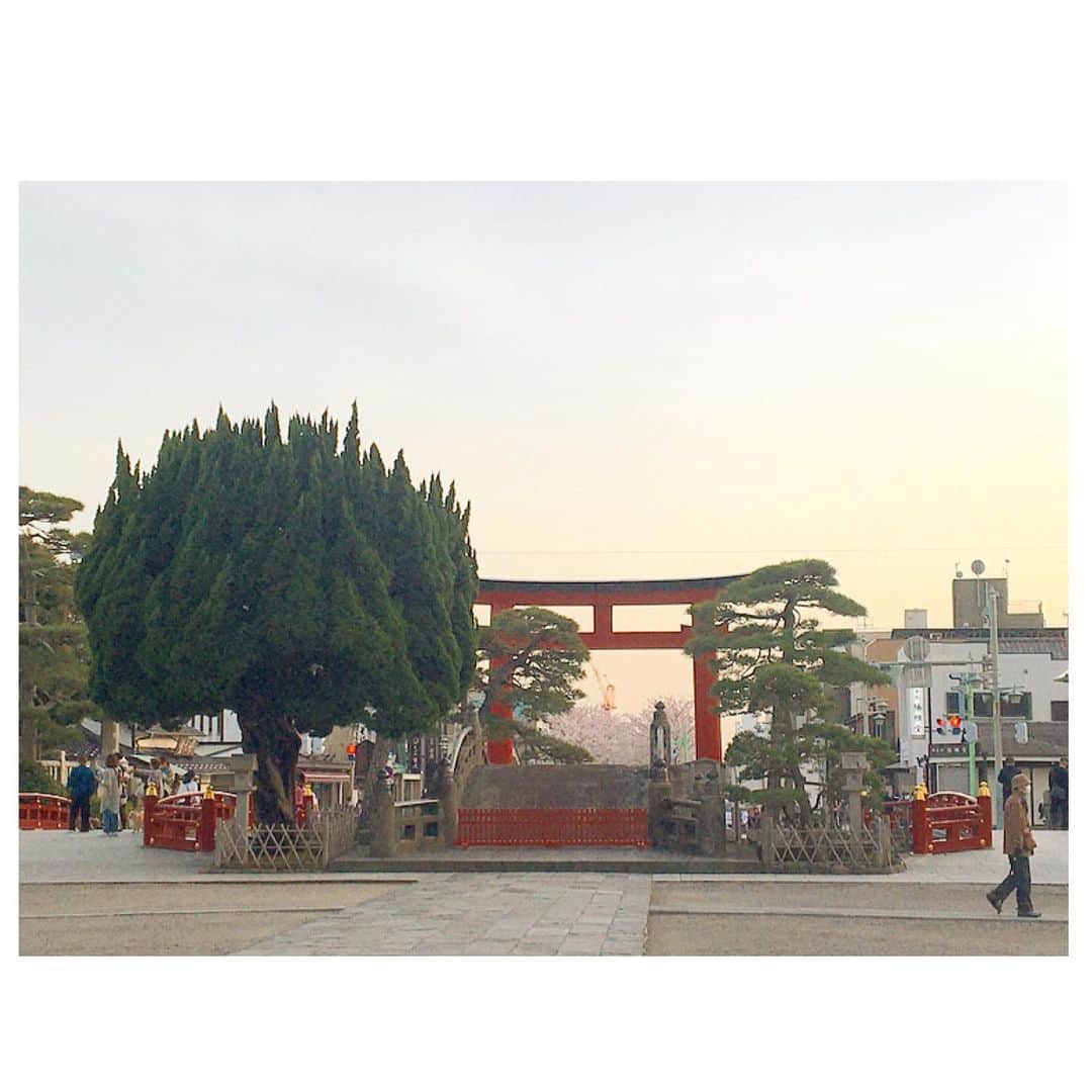 千眼美子さんのインスタグラム写真 - (千眼美子Instagram)「・ #🇯🇵 #⛩ #🌸 #日本 #神社 #japan」4月5日 10時04分 - yoshiko_sengen