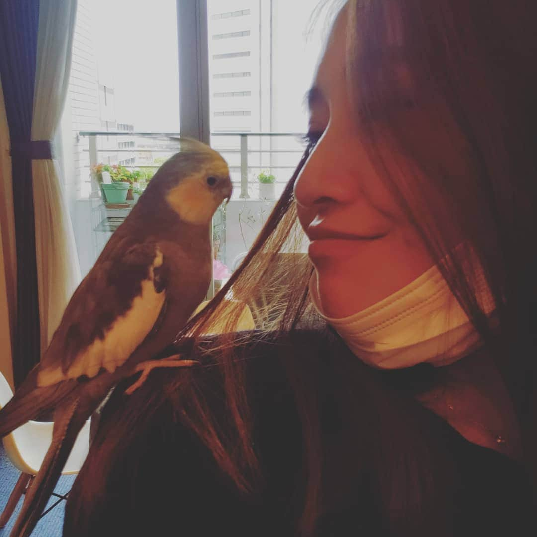 向山志穂さんのインスタグラム写真 - (向山志穂Instagram)「ずっと会いたかった🐦💕  最後のキョトンとしたお顔が可愛い😳 今度はお歌を聞かせてね😳🎶  #オカメインコ#癒される」4月17日 19時39分 - shihoo9o6